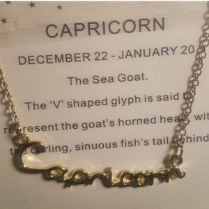 Capricorn Necklace